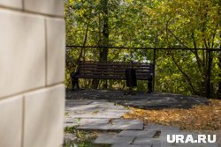 Дачникам обозначили частые ошибки при уборке участков осенью