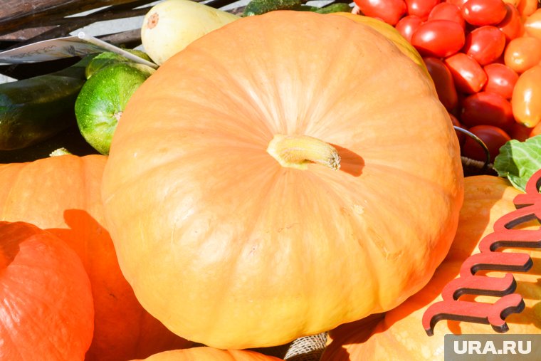 От супа-пюре до маффинов: топ-5 быстрых и вкусных рецептов из тыквы от диетолога