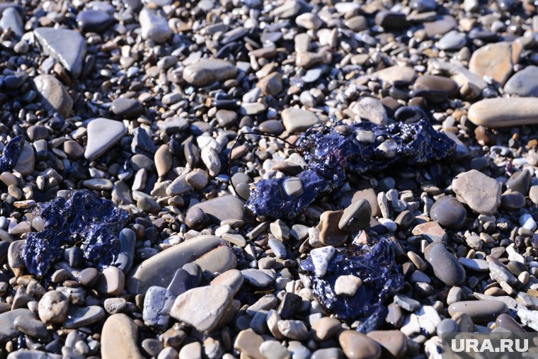 В Анапе обнаружили новые выбросы мазута