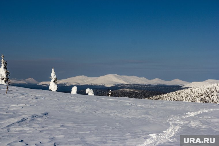 «Я убежден, что она жива»: подробности нового поворота в спасении Наговицыной после трех неудачных попыток