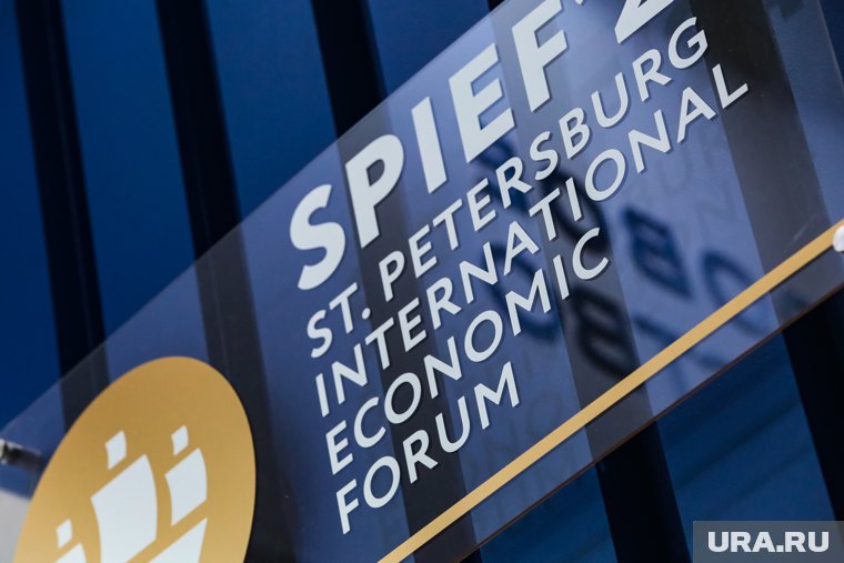 Выступление Путина, роботы и международные контакты: как проходил ПМЭФ в 2025 году