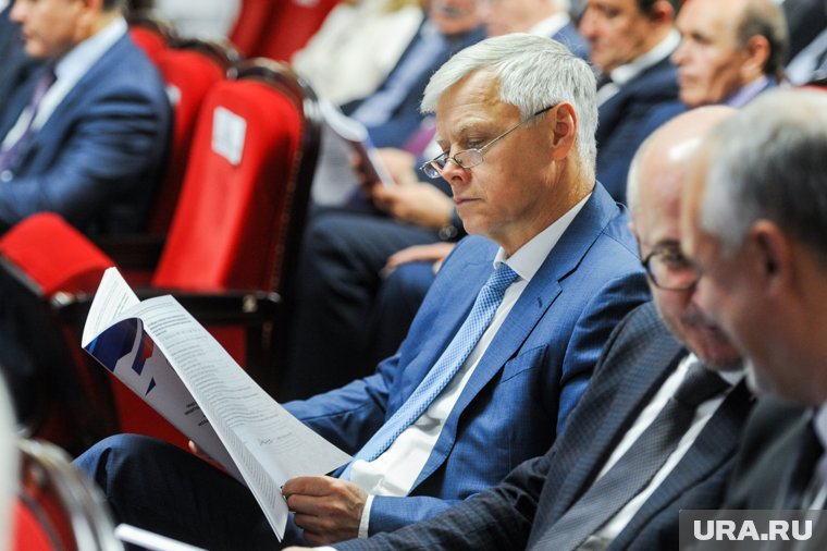 Депутат Госдумы Гартунг: национализация ЮГК бьет по челябинскому инвестклимату