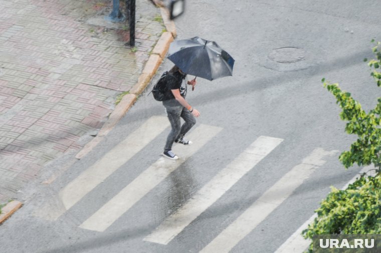 Власти пояснили, что будет с опасным пешеходным переходом в Кургане