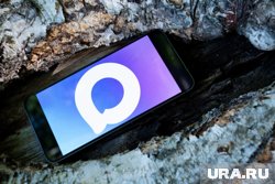 Больше трети россиян посетили MAX в сентябре 