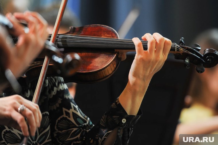 Пятничный вайб: живое звучание в сердце курганцев создадут музыканты областной филармонии. Афиша