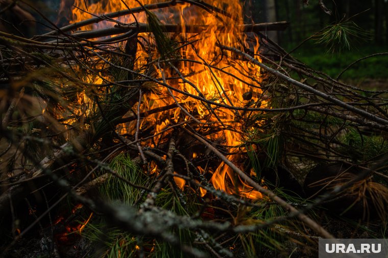 Пермский школьник попал в больницу после падения в костер