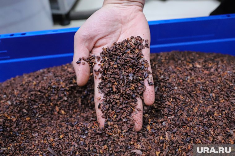 Челябинские производители шоколада заявили о 30-процентном росте цен на сырье