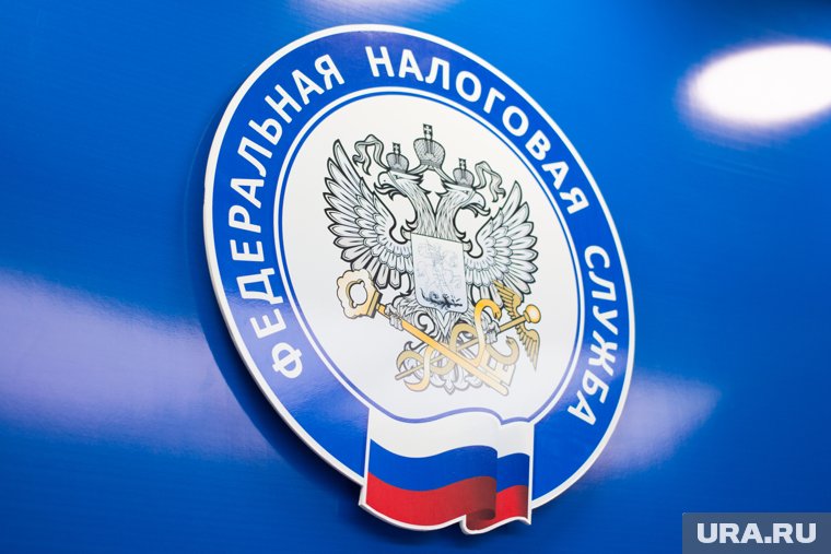 Скандальная блогер Митрошина снова задолжала ФНС крупную сумму