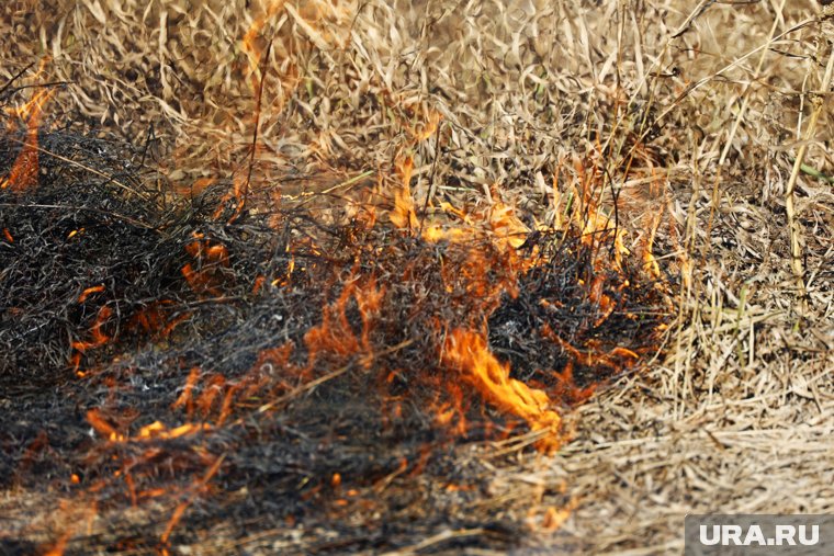 В Курганской области оштрафовали нарушителей, жгущих костры вопреки запрету