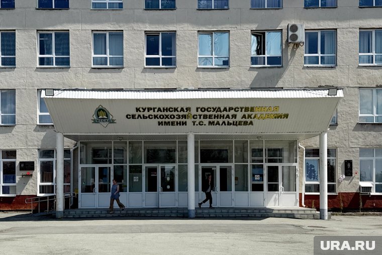 Шумков предложил отправить топовых курганских аграриев руководить кафедрами в филиале КГУ. Инсайд