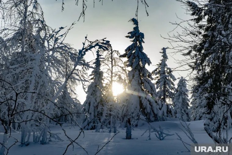 Семью Усольцевых две недели не могут найти в «месте силы»: что это такое