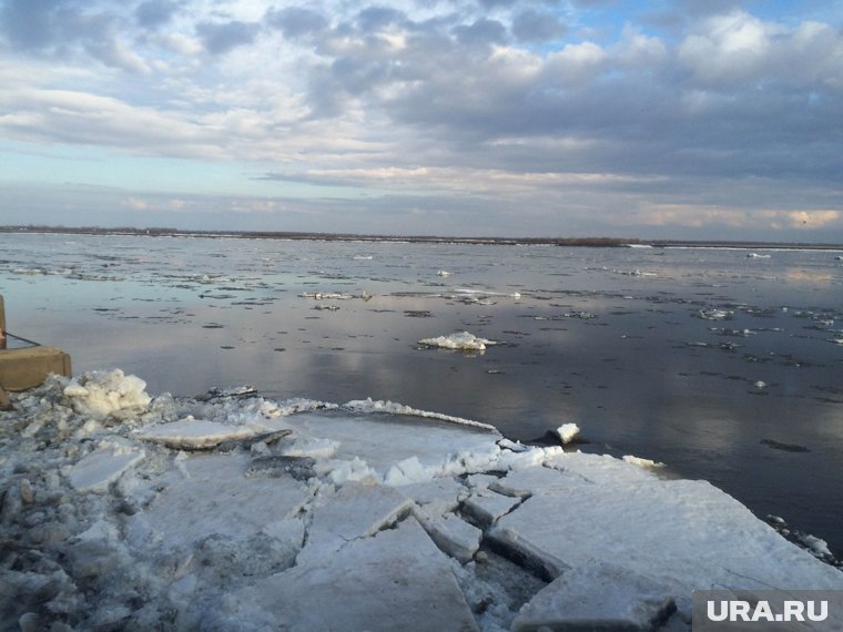 Уровень воды в реках Пермского края повысился на десятки сантиметров. Инфографика