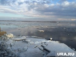 Уровень воды в реках Пермского края повысился на десятки сантиметров. Инфографика