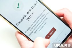 Как проголосовать на выборах в Курганской области онлайн и на дому. Инфографика