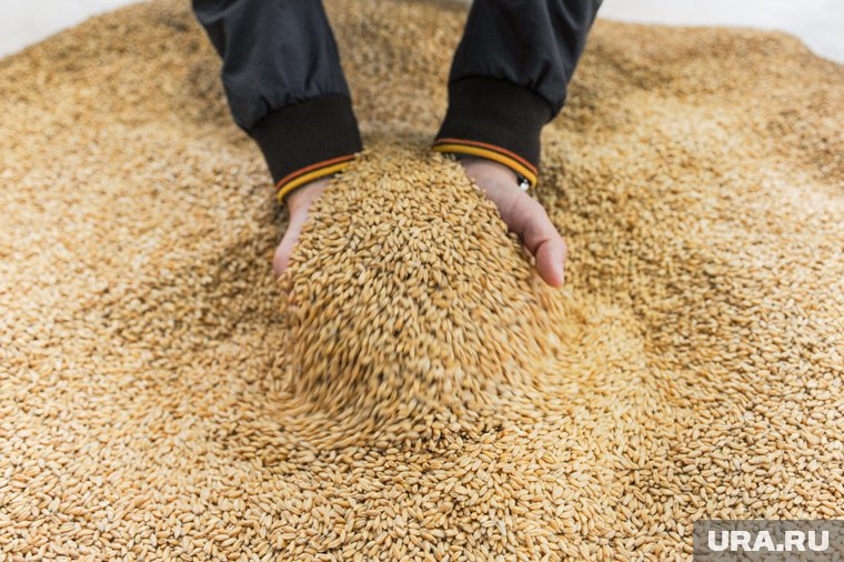 Началась торговая война США и КНР: какие новые пошлины ввели страны и как это касается России