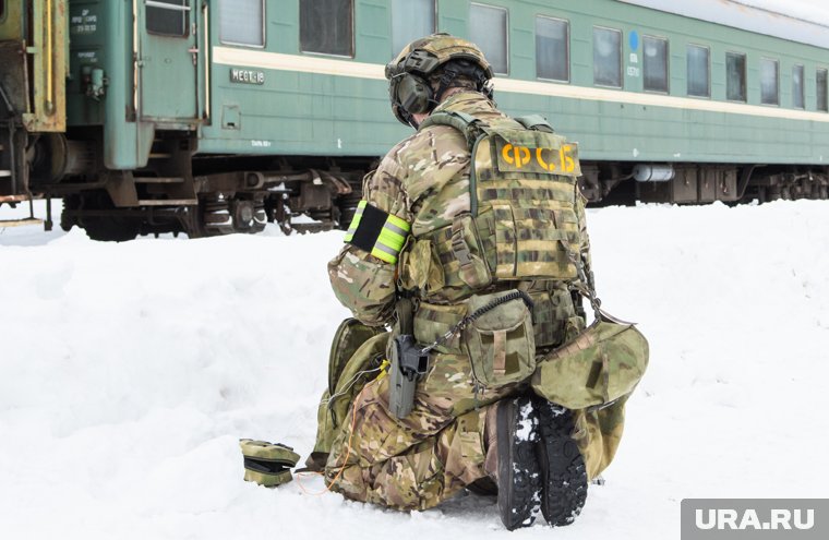 ФСБ пресекла контрабанду курганского леса на миллионы рублей