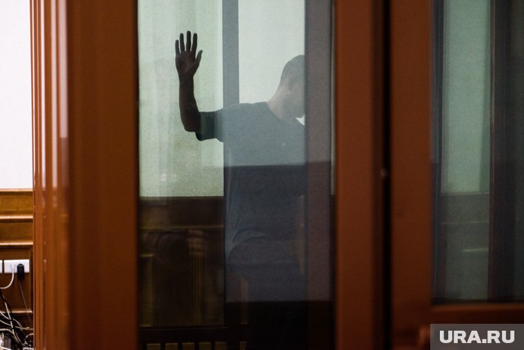 Россия отдала Яшина*, Кара-Мурзу* и Гершковича: что известно об обмене заключенными