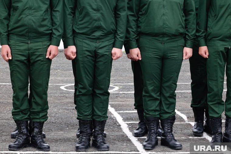 Курганских призывников не будут отправлять в зону СВО