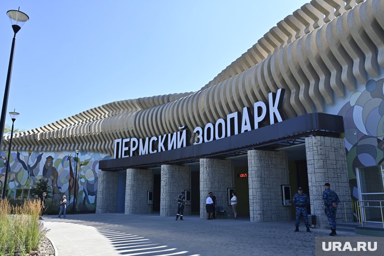 Новый Пермский зоопарк признали лучшим в России