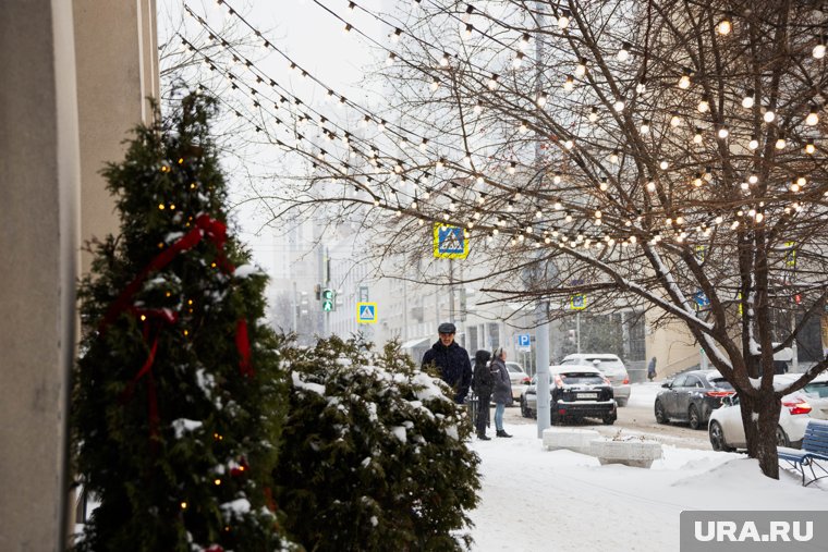 Какая погода ждет россиян в последнюю рабочую неделю 2024 года. Инфографика