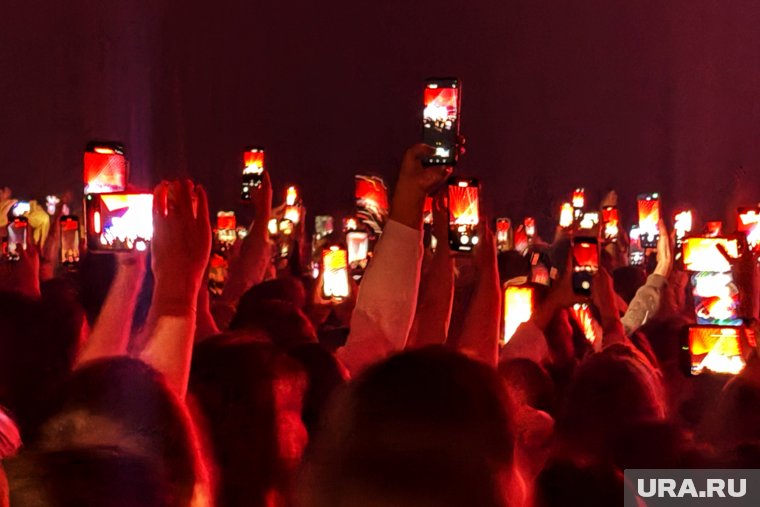 Фигурантам дела о хищении 200 млн с «Пушкинских карт» вынесли приговор