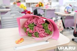 Аналитики поделились идеями подарков для тюменских учителей