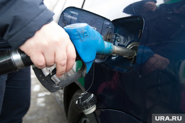 В Кургане сильно подорожал бензин. Инфографика