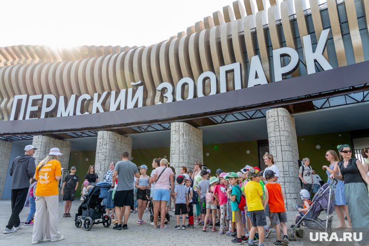 Лучшие кадры с открытия пермского зоопарка. Фоторепортаж