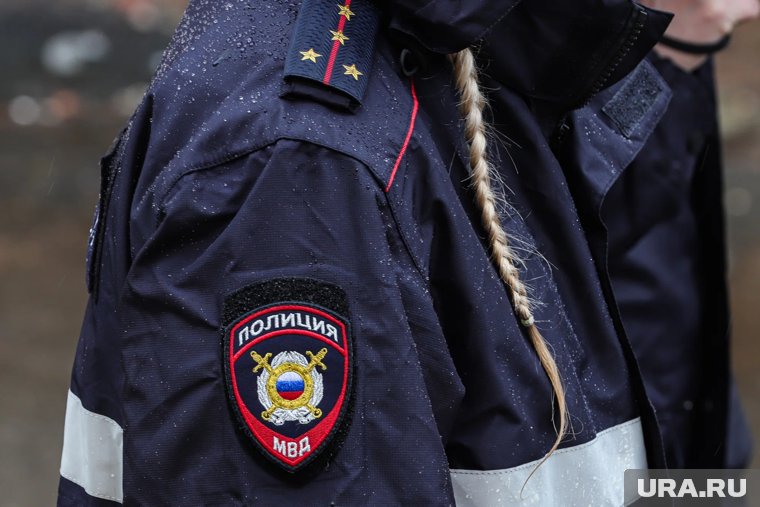 Источник назвал домыслами, что дочка Цапка протаранила дом на машине  