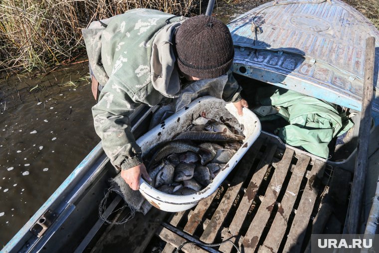 Рост спроса на рыбу в ЯНАО поспособствует обновлению рыболовецкого флота