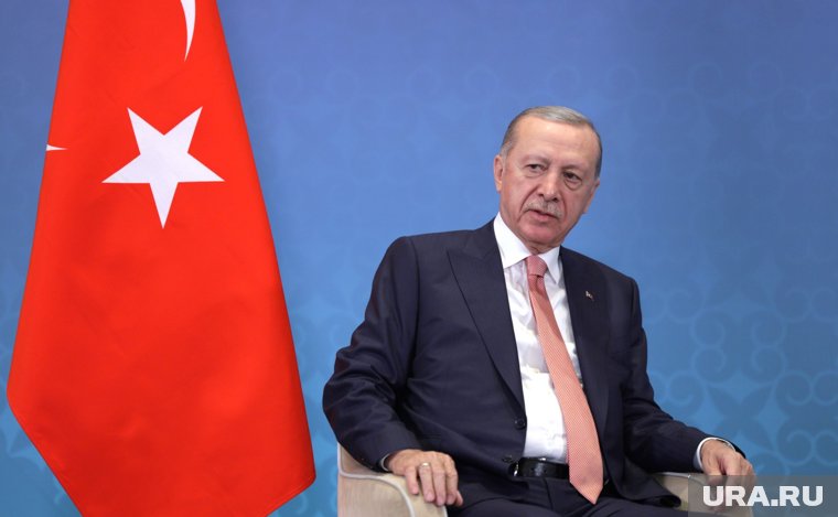 Две страны НАТО захотели снести Эрдогана