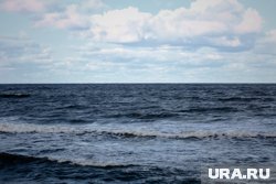 В Польше заявили, что Балтийское море стало внутренним морем НАТО