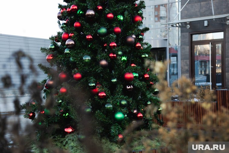 Что означает символ 2025 года: астролог рассказала, чего ждать от Деревянной Змеи