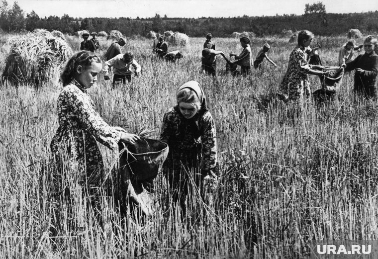 Жизнь в тылу: что происходило в городах и селах вдали от фронта во время Великой Отечественной войны