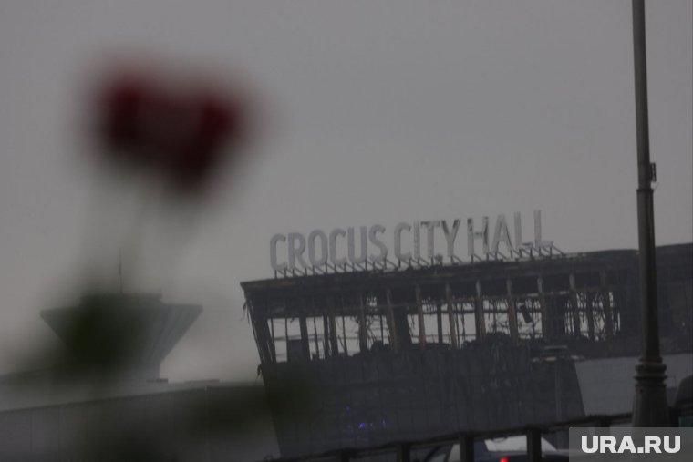 С теракта в «Крокусе» прошло полгода: изменения в деле за это время
