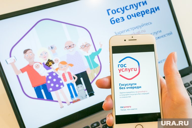 На «Госуслугах» запустили отдельный сервис для многодетных семей