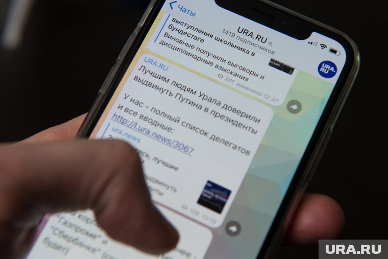 Курганские VIP рассказали, где обсуждают важные дела и планируют ли переходить в нацмессенджер Max