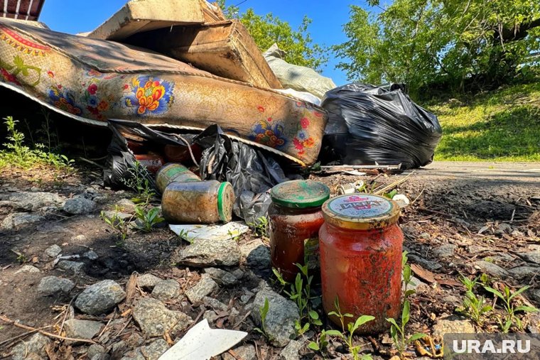 В общежитии курганцы избавляются от мусора, выбрасывая его прямо из окон. Фото