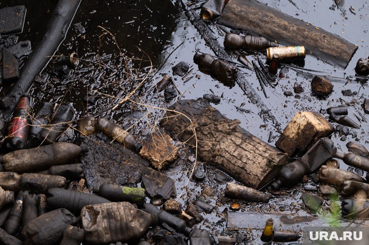 Жители ХМАО бьют тревогу из-за разлива нефти в лесу. Видео