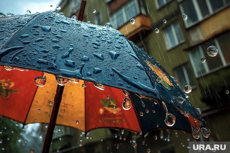 На Ямале ожидается неделя дождей и сильного ветра