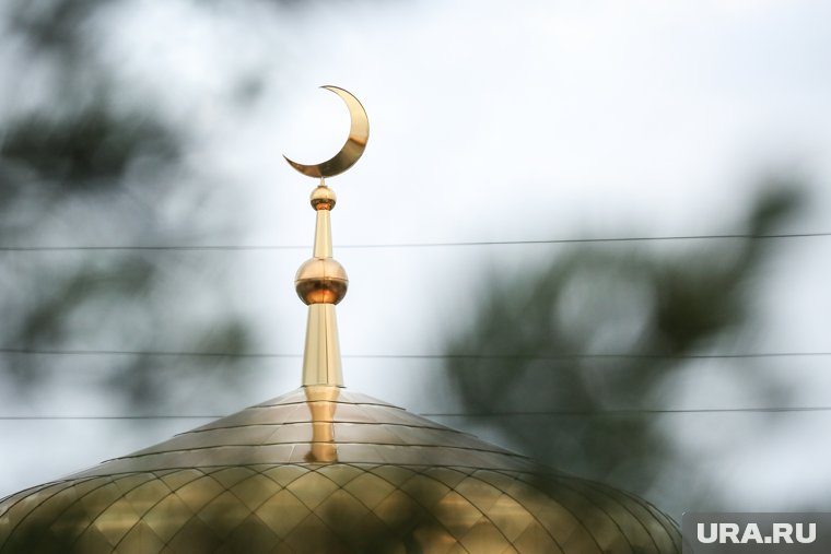 От Ураза Байрам до Дня прогулки по паркам: какие праздники отмечают 30 марта 2025 года