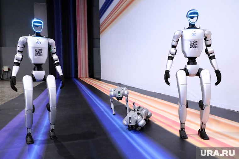 «Роботы не болеют и не насилуют»: сенатор Муратов выступил против адаптации мигрантов в России