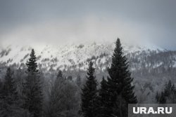 Добровольцы покидают место поиска Усольцевых: последние данные о пропавшей в тайге семье к 14 октября