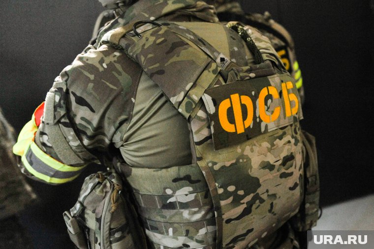 В Челябинской области сотрудники ФСБ задержали сторонника террористов. Видео