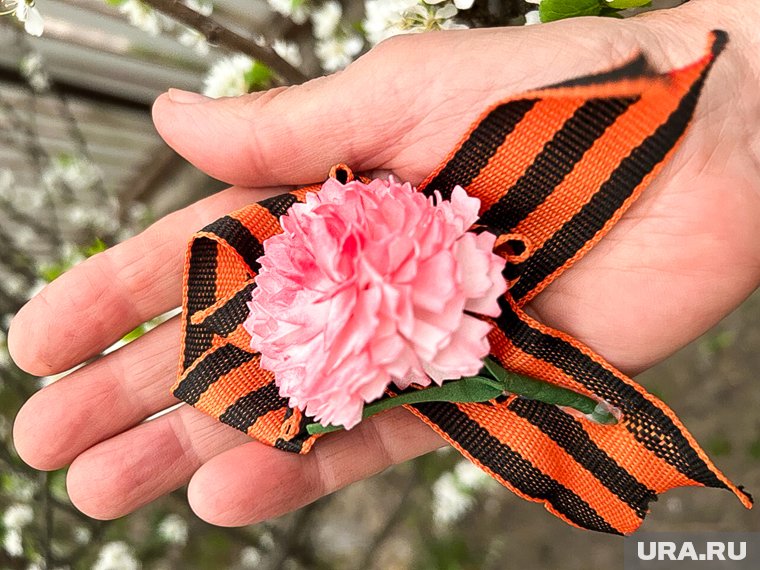 Историк Александр Мясников разоблачил фейк о Георгиевской ленте