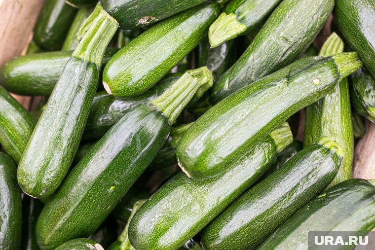 Куда пустить молодые, зрелые и перезревшие кабачки