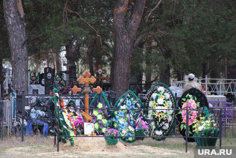 Курганские кладбища обработают от клещей