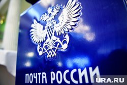 Дачники массово кинулись запасаться семенами: что в топе у курганских садоводов
