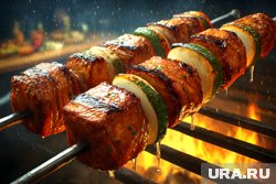 Шадринцы не смогут жарить шашлыки в лесах до конца лета