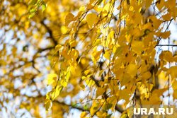 Народные приметы на 4 октября: что «ломает» карьеру и приносит неудачу в день Кондрата да Ипата